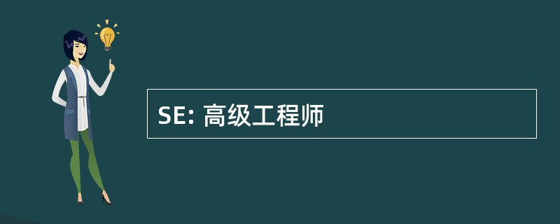 SE: 高级工程师