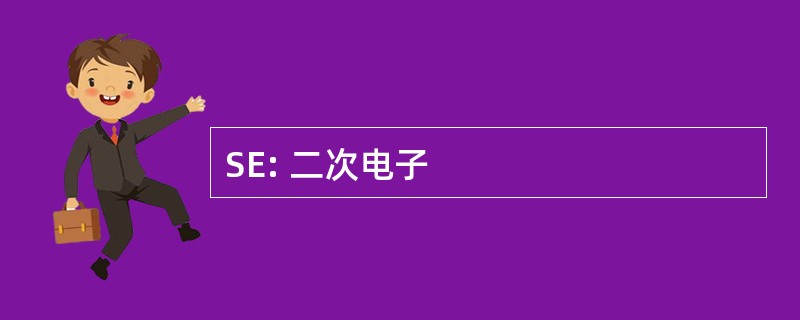 SE: 二次电子