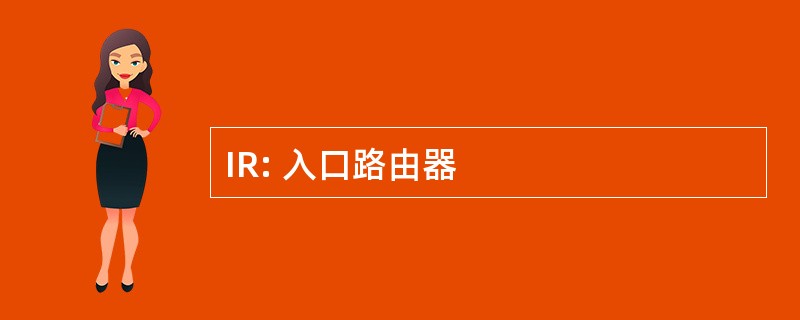 IR: 入口路由器