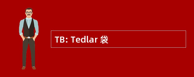 TB: Tedlar 袋