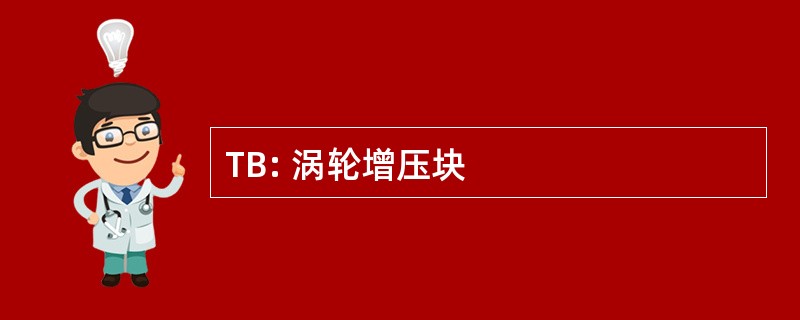 TB: 涡轮增压块