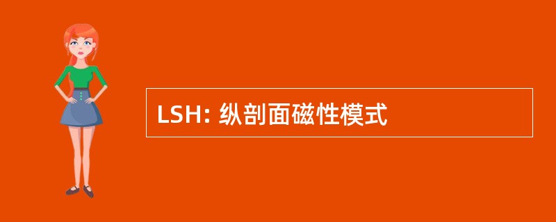 LSH: 纵剖面磁性模式