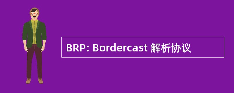 BRP: Bordercast 解析协议