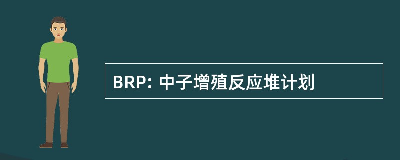 BRP: 中子增殖反应堆计划