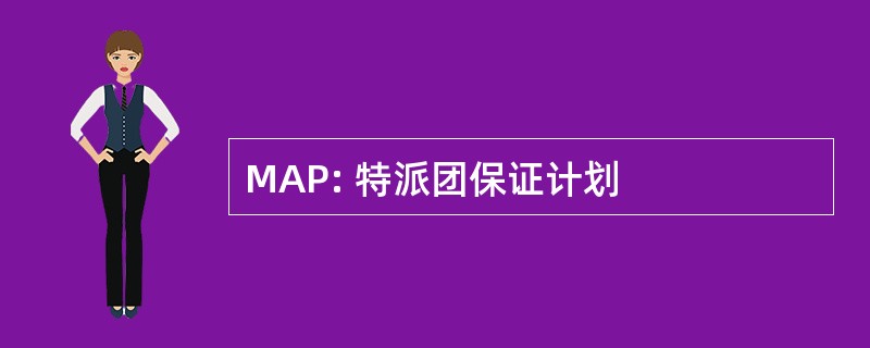 MAP: 特派团保证计划