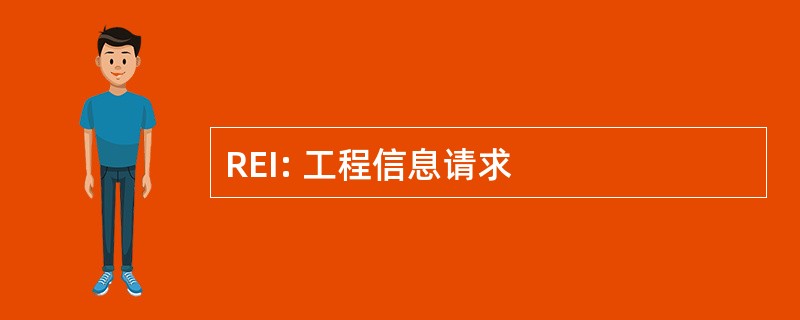 REI: 工程信息请求