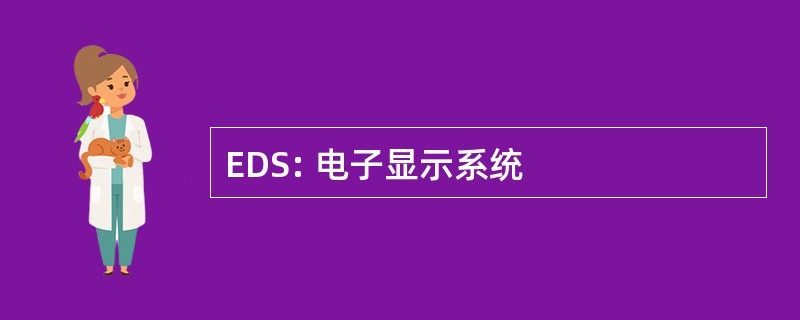 EDS: 电子显示系统