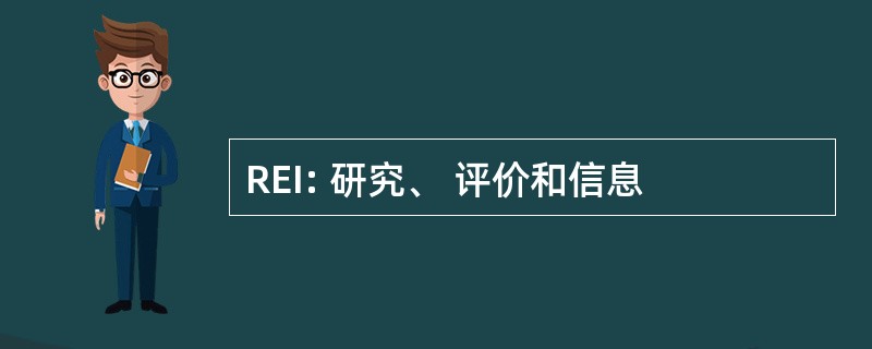 REI: 研究、 评价和信息