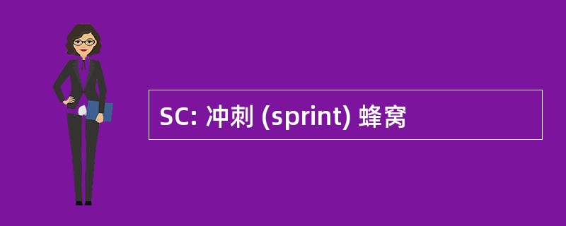 SC: 冲刺 (sprint) 蜂窝