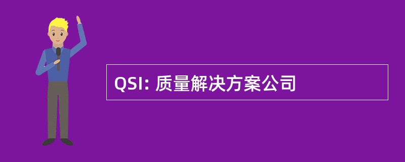 QSI: 质量解决方案公司