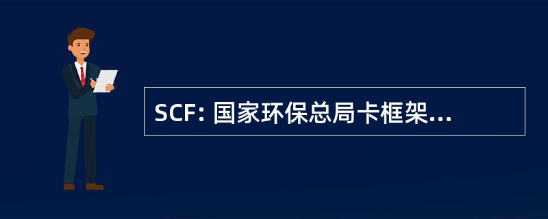 SCF: 国家环保总局卡框架 （监管系统，整个欧洲统一支付卡）