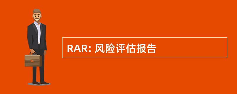 RAR: 风险评估报告