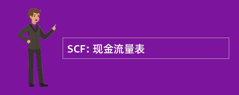 SCF: 现金流量表