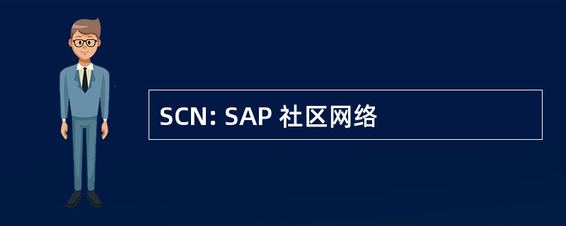 SCN: SAP 社区网络