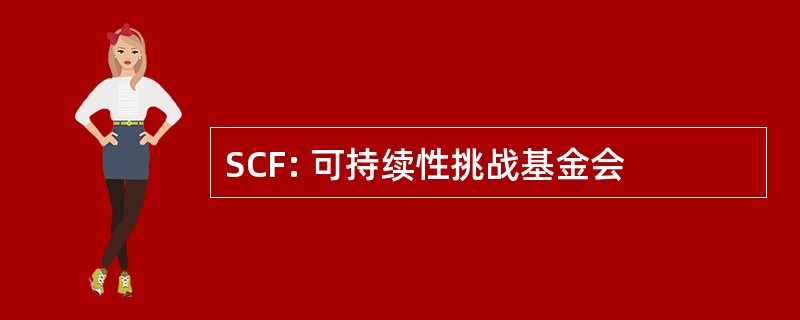 SCF: 可持续性挑战基金会