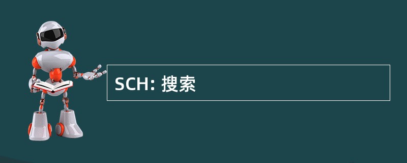 SCH: 搜索