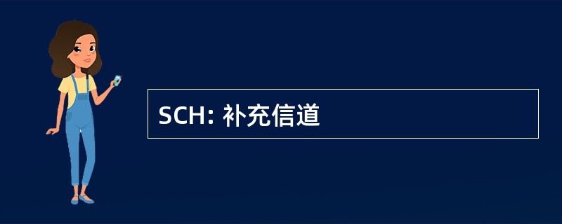 SCH: 补充信道