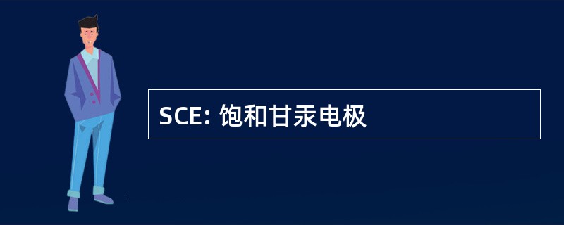 SCE: 饱和甘汞电极