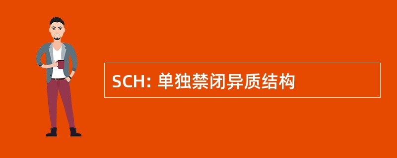 SCH: 单独禁闭异质结构