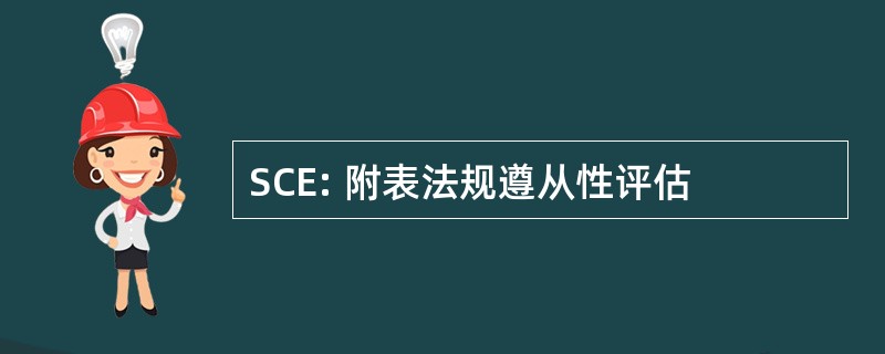 SCE: 附表法规遵从性评估