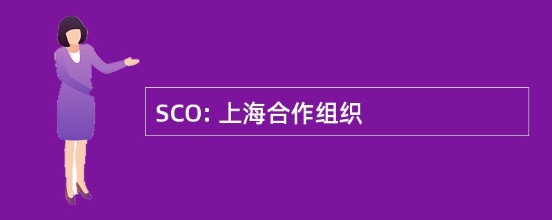 SCO: 上海合作组织