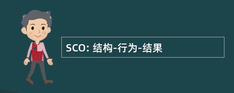 SCO: 结构-行为-结果