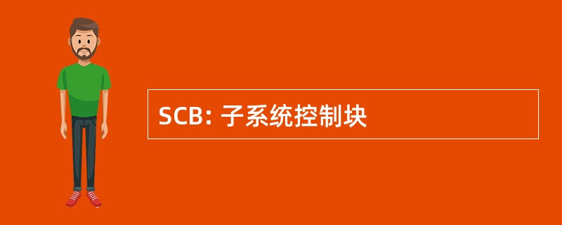 SCB: 子系统控制块