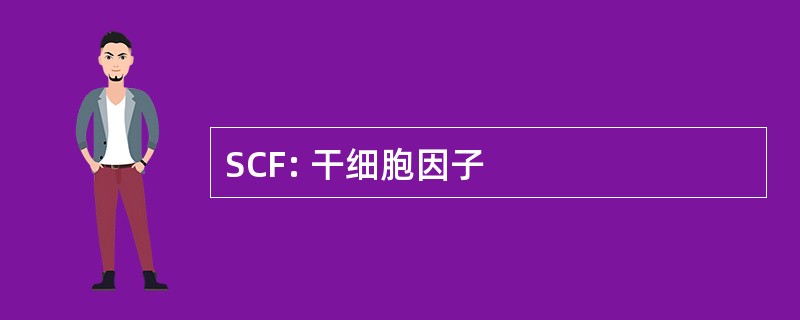 SCF: 干细胞因子