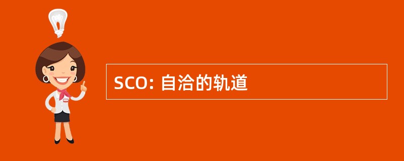 SCO: 自洽的轨道