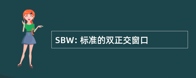 SBW: 标准的双正交窗口