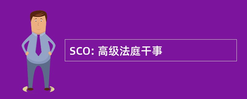 SCO: 高级法庭干事