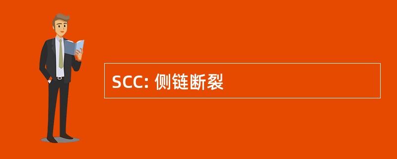 SCC: 侧链断裂