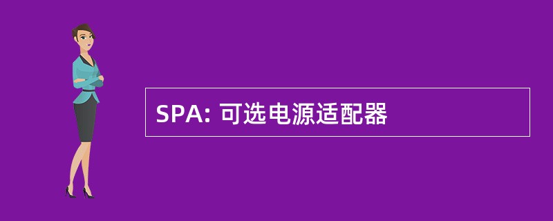 SPA: 可选电源适配器