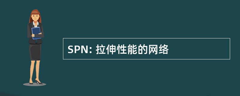 SPN: 拉伸性能的网络