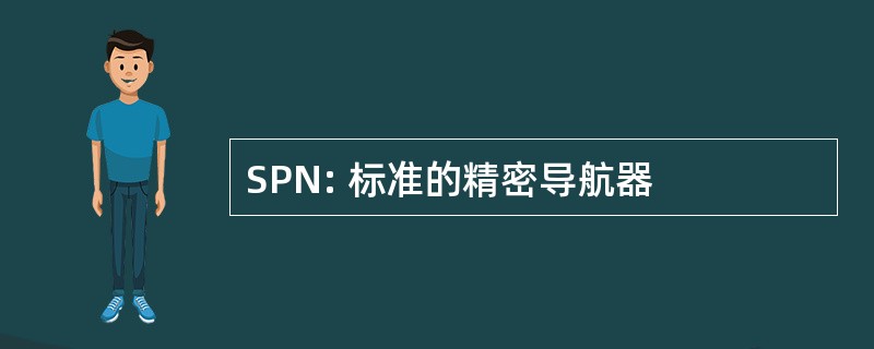 SPN: 标准的精密导航器