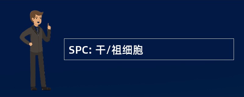 SPC: 干/祖细胞