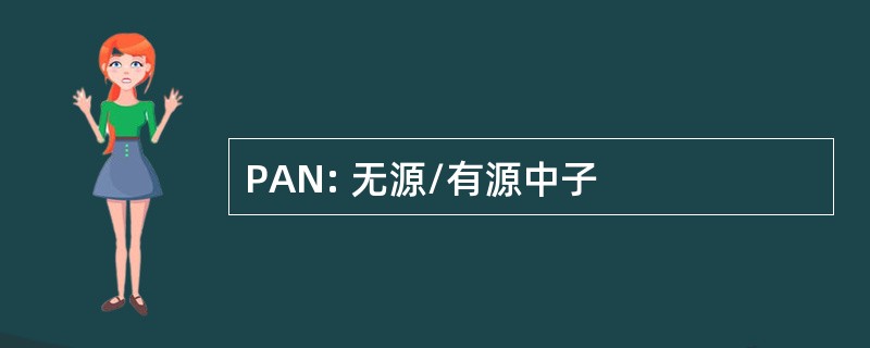 PAN: 无源/有源中子