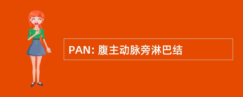 PAN: 腹主动脉旁淋巴结