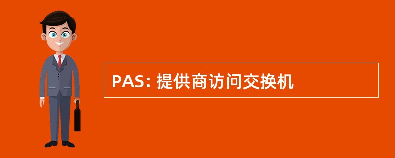 PAS: 提供商访问交换机