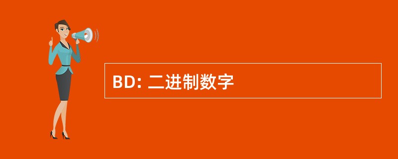 BD: 二进制数字