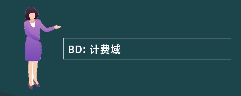 BD: 计费域