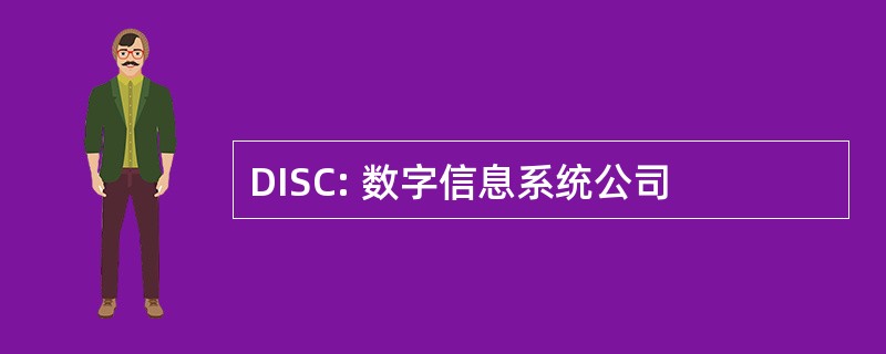 DISC: 数字信息系统公司