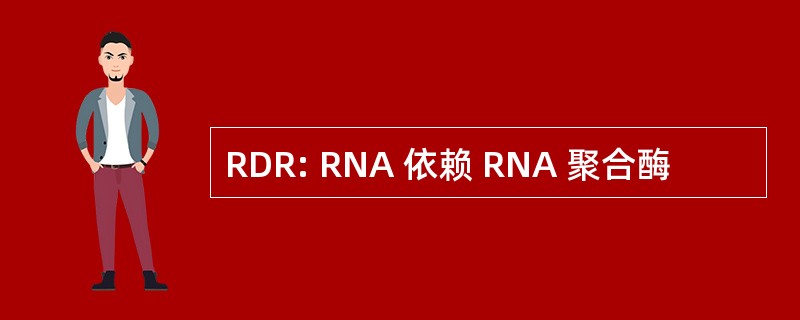 RDR: RNA 依赖 RNA 聚合酶