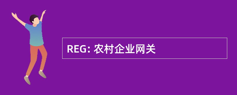 REG: 农村企业网关