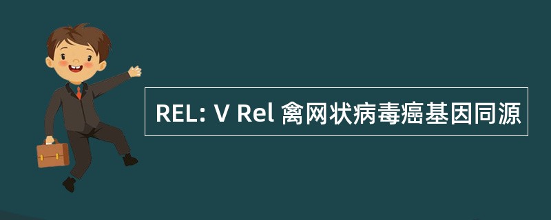 REL: V Rel 禽网状病毒癌基因同源