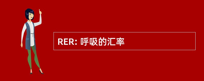 RER: 呼吸的汇率