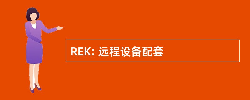 REK: 远程设备配套