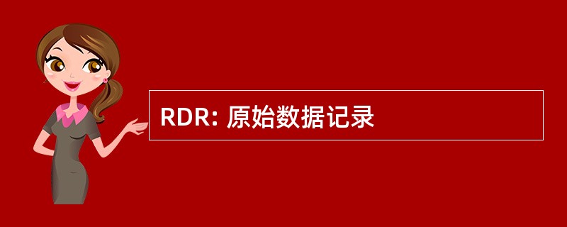 RDR: 原始数据记录