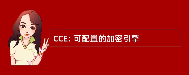 CCE: 可配置的加密引擎