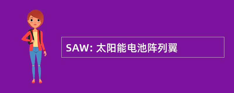 SAW: 太阳能电池阵列翼